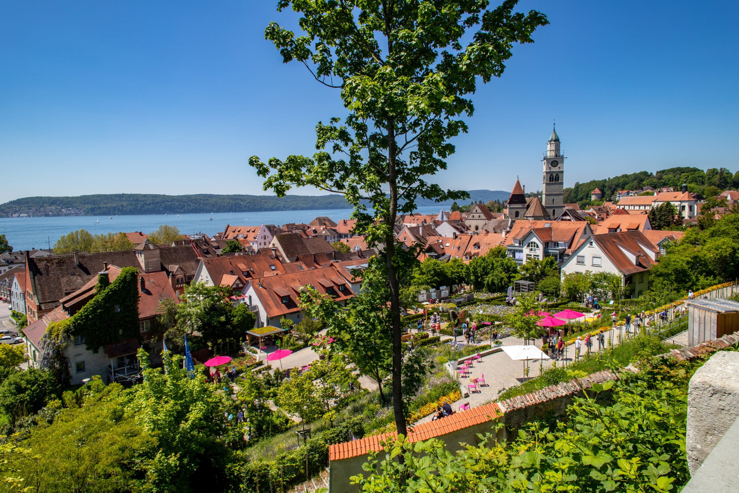 Blick über die Menzinger Gärten